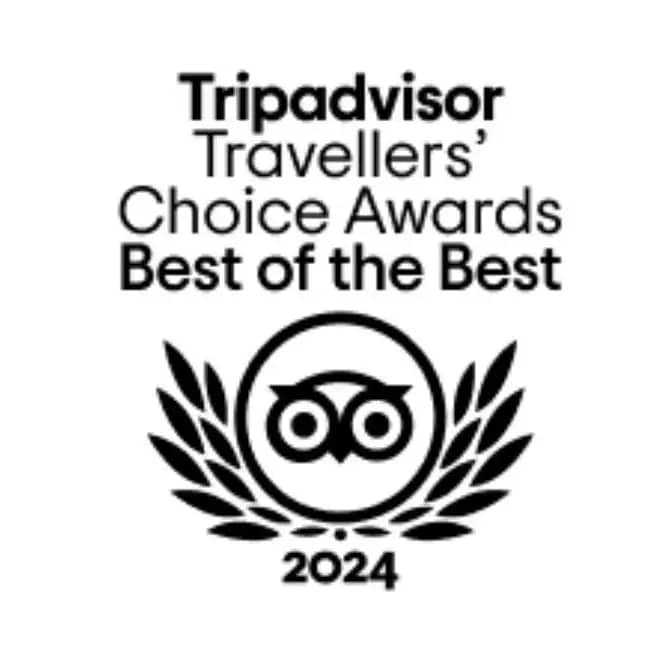 trip adviser