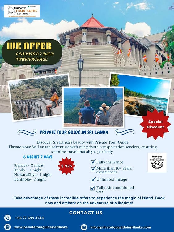 Private coastal tour of Sri Lanka with stunning beach views and personalized guide service