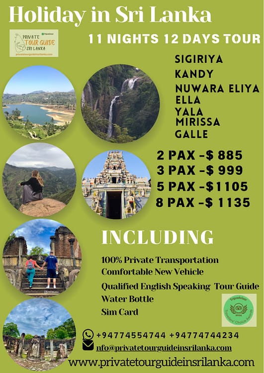 Cultural Triangle Private Tour Package